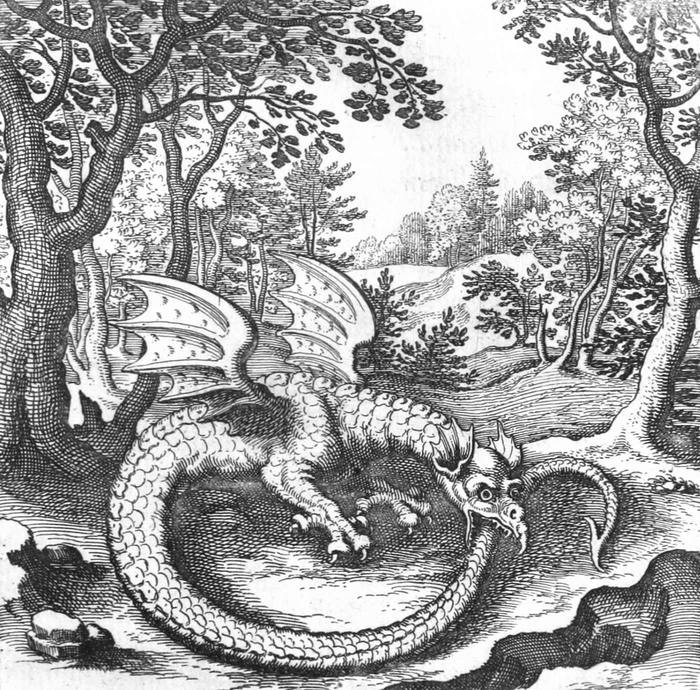 The Dragon Devouring Its Tail, Matthäus Merian